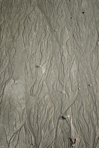 cal3872.JPG - Crescent City Beach