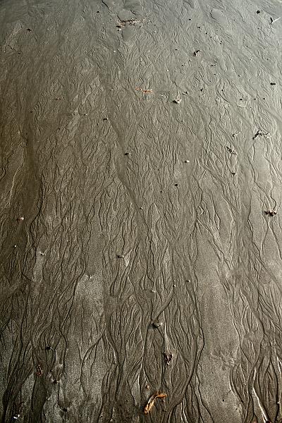 cal3873.JPG - Crescent City Beach