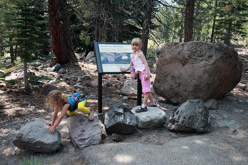 cal3952.JPG - Devastated Area in the Lassen National Park