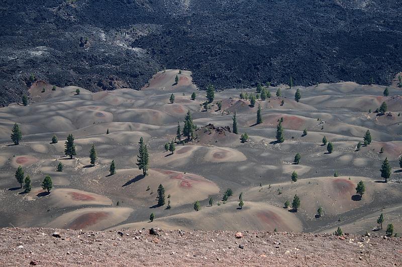 cal3969.JPG - View from the top of Cinder Cone