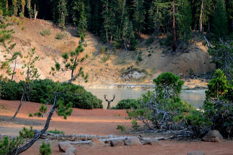 cal3979.JPG - Boiling Springs Lake in the Lassen National Park