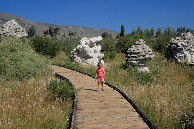 cal4009.JPG - Mono Lake County Park