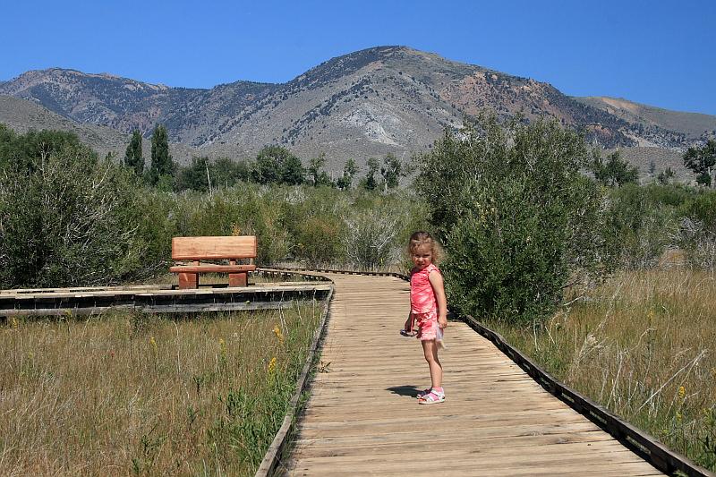 cal4010.JPG - Mono Lake County Park