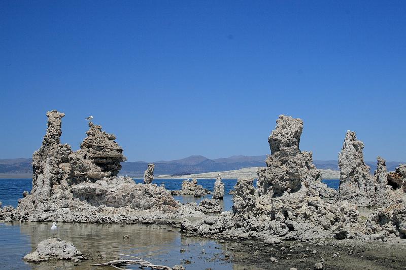 cal4022.JPG - Mono Lake - South Tufa Area