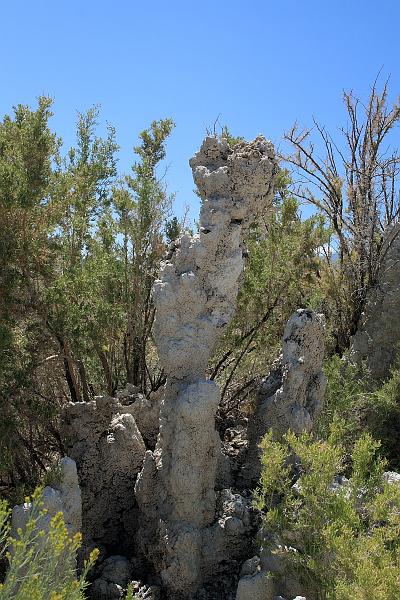 cal4030.JPG - Mono Lake - South Tufa Area