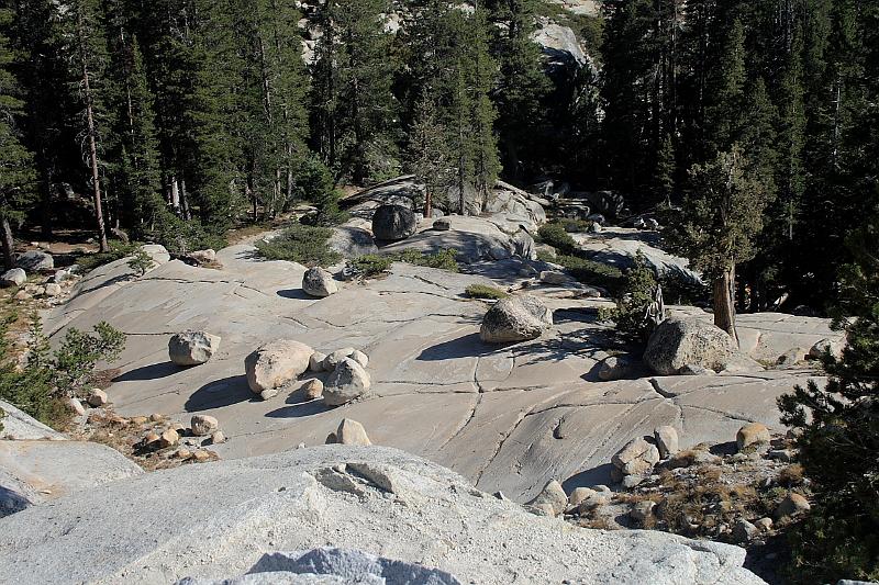 cal4033.JPG - Yosemite National Park