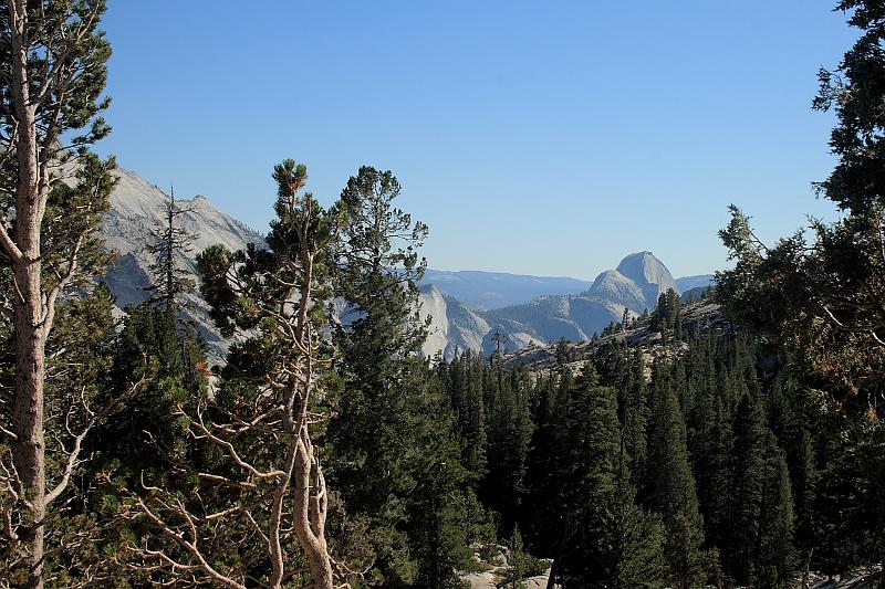 cal4035.JPG - Yosemite National Park