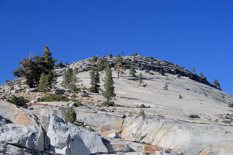 cal4036.JPG - Yosemite National Park