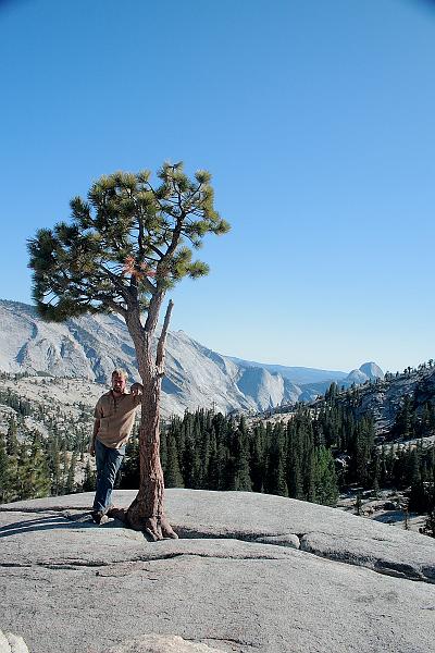 cal4038.JPG - Yosemite National Park