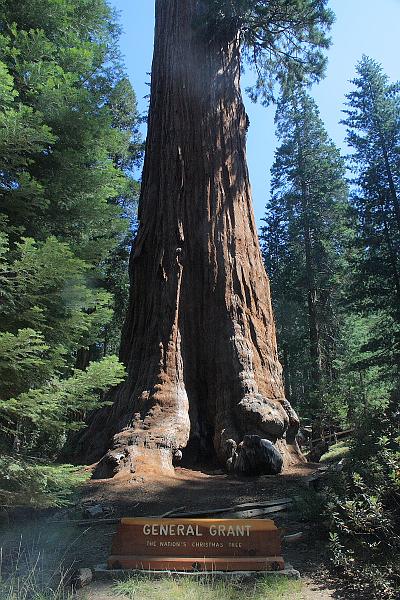 cal4068.JPG - Kings Canyon National Park - Grant Grove