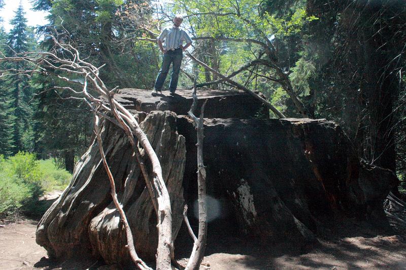 cal4070.JPG - Big Stump Trail in Kings Canyon