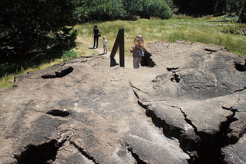cal4073.JPG - Big Stump Trail in Kings Canyon