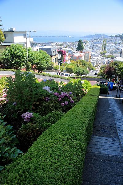 cal4094.JPG - San Francisco - Lombard Street