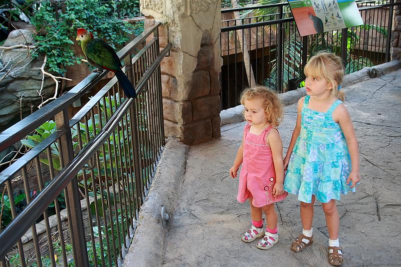 can2461.JPG - Aviary on Niagara Falls