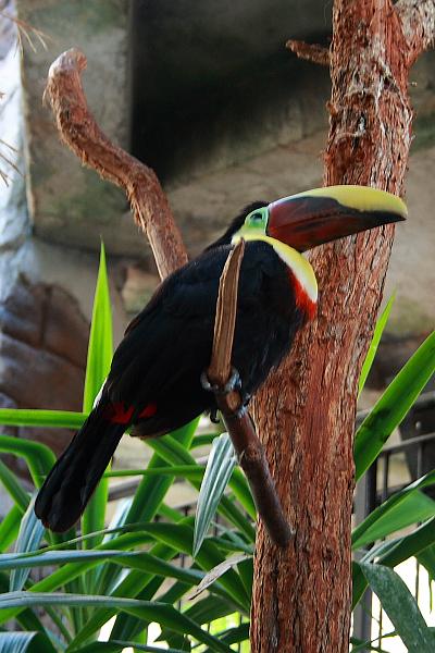 can2463.JPG - Aviary on Niagara Falls