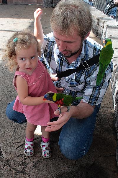 can2464.JPG - Aviary on Niagara Falls