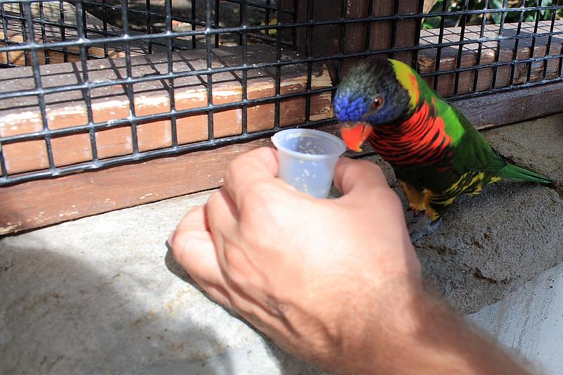 can2471.JPG - Aviary on Niagara Falls