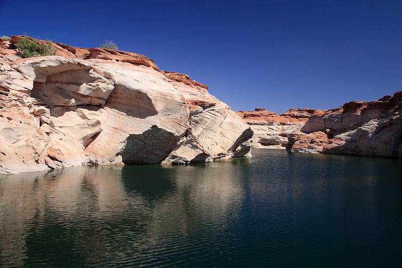 antilope5721.JPG - Powell Lake