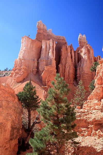 bryce6016.JPG