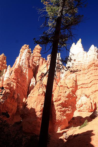 bryce6024.JPG