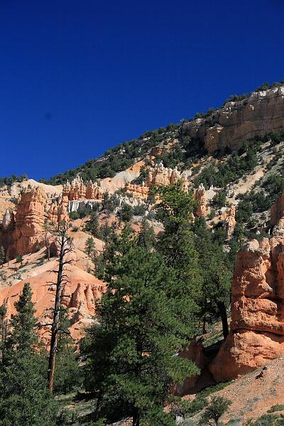 bryce6087.JPG