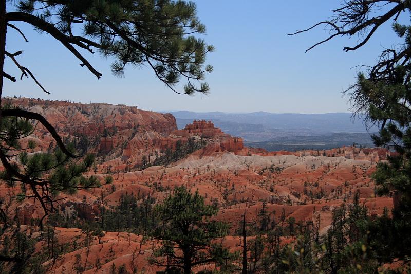 bryce6090.JPG