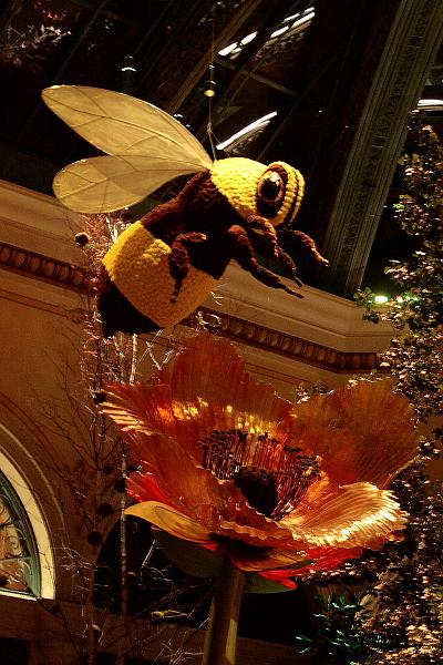 vegas5526.JPG - Bellagio Conservatory and Botanical Garden