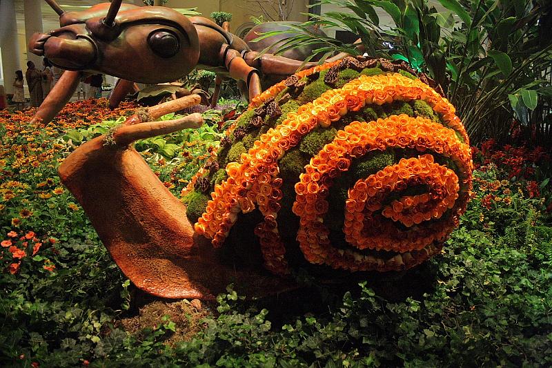 vegas5529.JPG - Bellagio Conservatory and Botanical Garden