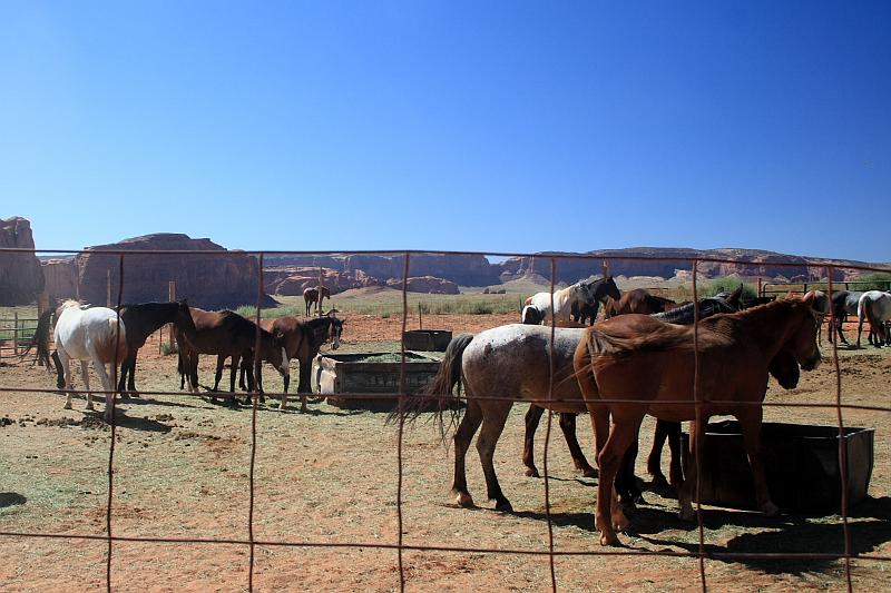antilope5638.JPG - Monument Valley