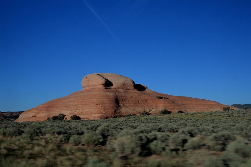 antilope5668.JPG - Valley of the Gods