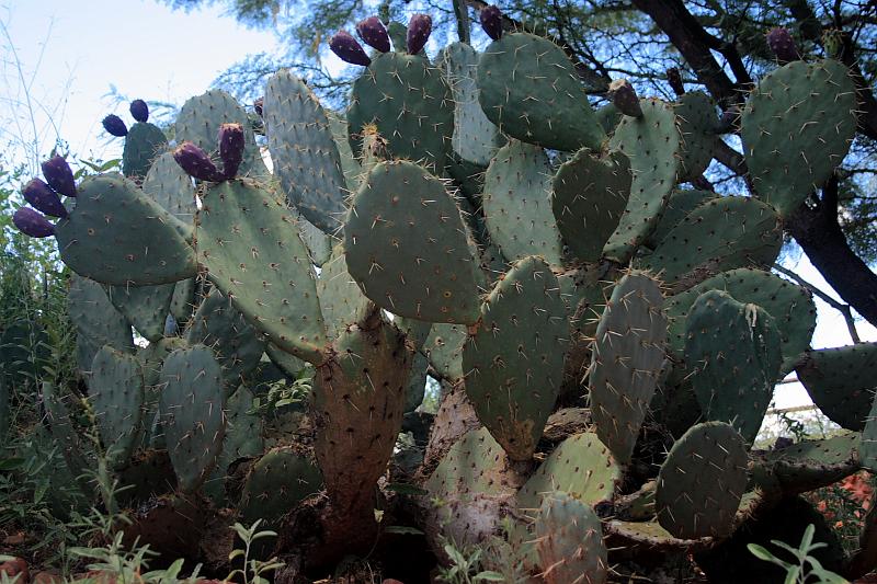 sed5368.JPG - Red Rock State Park