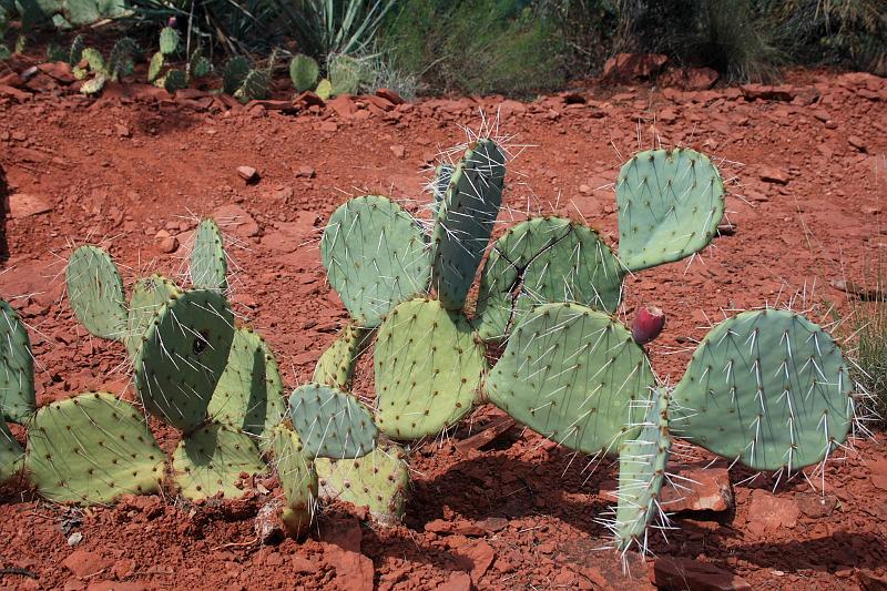 sed5371.JPG - Red Rock State Park