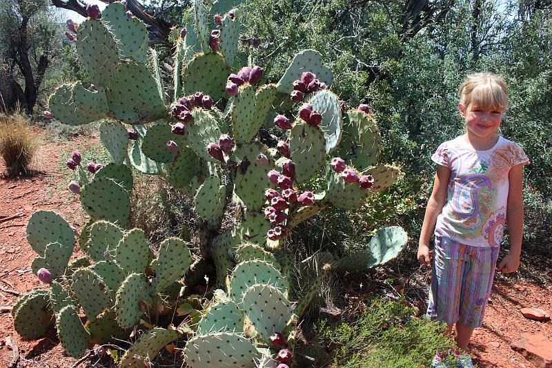 sed5373.JPG - Red Rock State Park