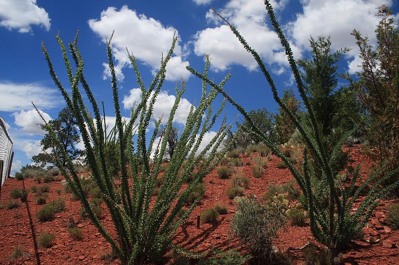 sed5375.JPG - Red Rock State Park