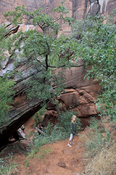 zion6114.JPG