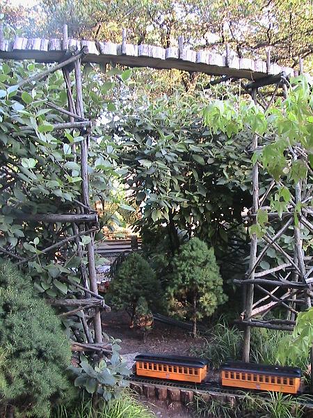 IMG_1928.jpg - Botanical Garden