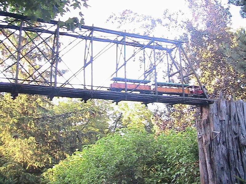 IMG_1931.jpg - Botanical Garden