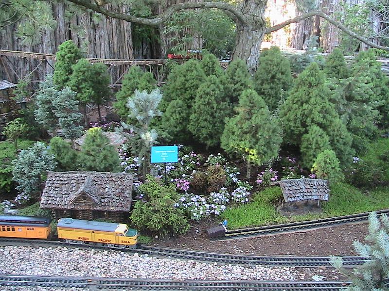 IMG_1946.jpg - Botanical Garden