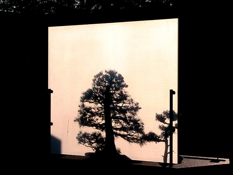 IMG_1956.jpg - Botanical Garden