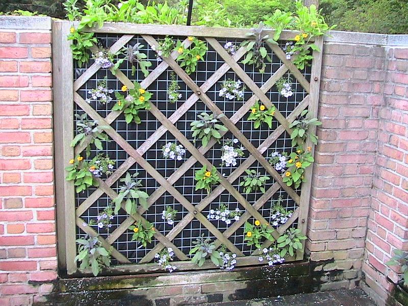 IMG_1963.jpg - Botanical Garden