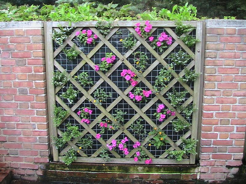 IMG_1967.jpg - Botanical Garden