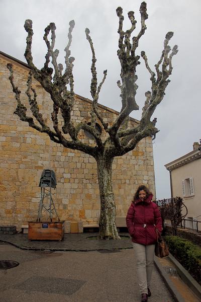 coteazur0088.JPG - Mougins 