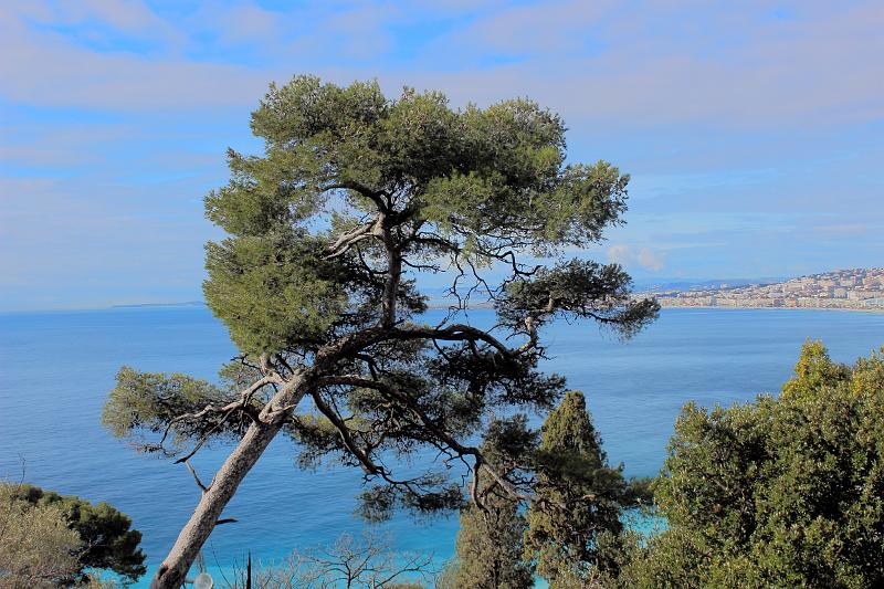 coteazur0094.JPG - Castle Hill, Parc du Chateau, Nice