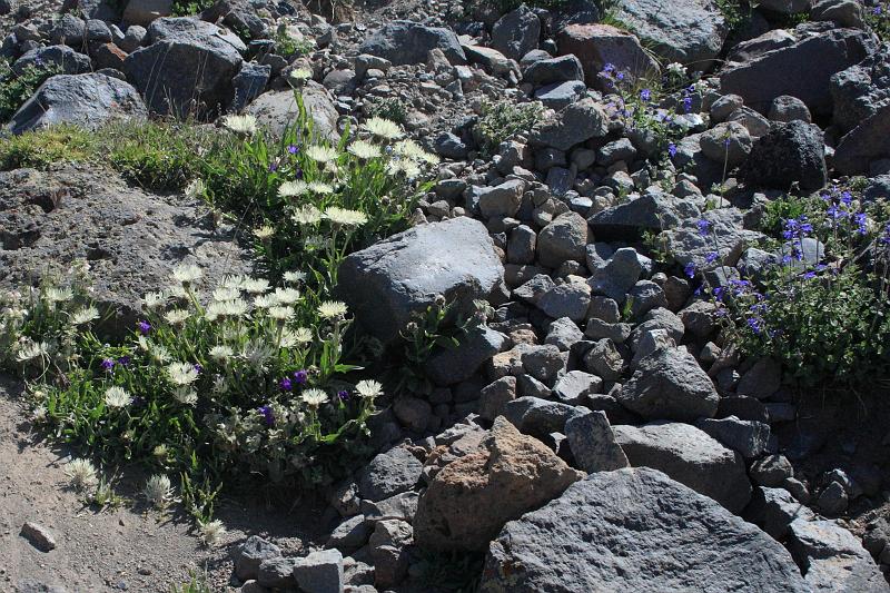 turkey0195.JPG - On the way to the upper camp