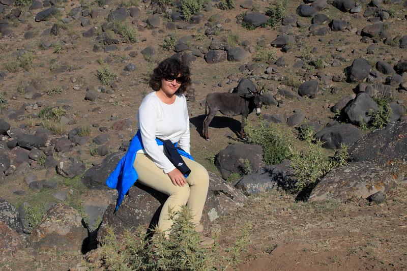 turkey0210.JPG - On the way down from the Ararat summit