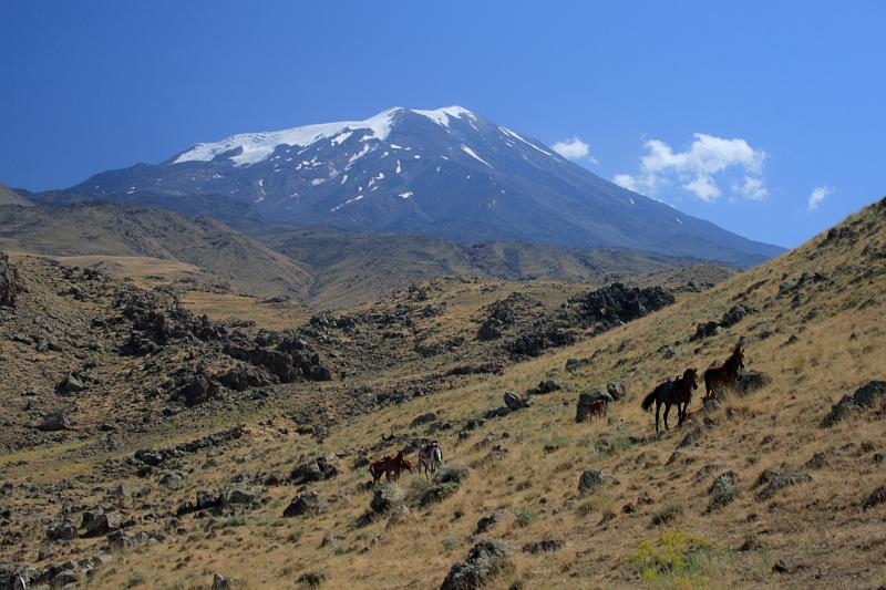 turkey0211.JPG - At the base camp