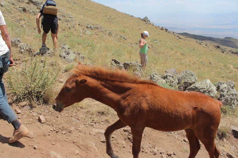 turkey0487.JPG - On the way to the lower camp