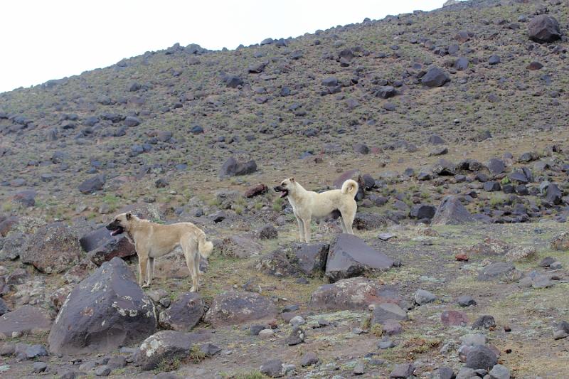 turkey0512.JPG - On the way to the lower camp