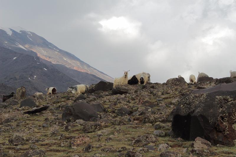 turkey0513.JPG - On the way to the lower camp