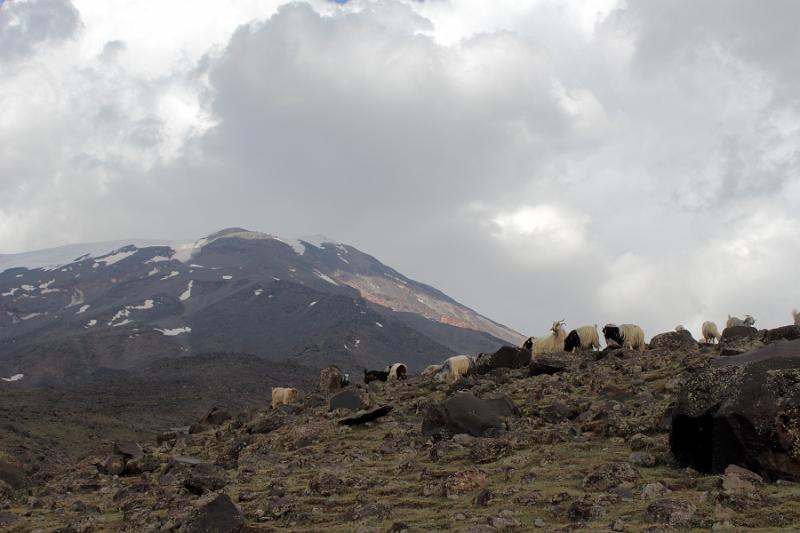 turkey0514.JPG - On the way to the lower camp